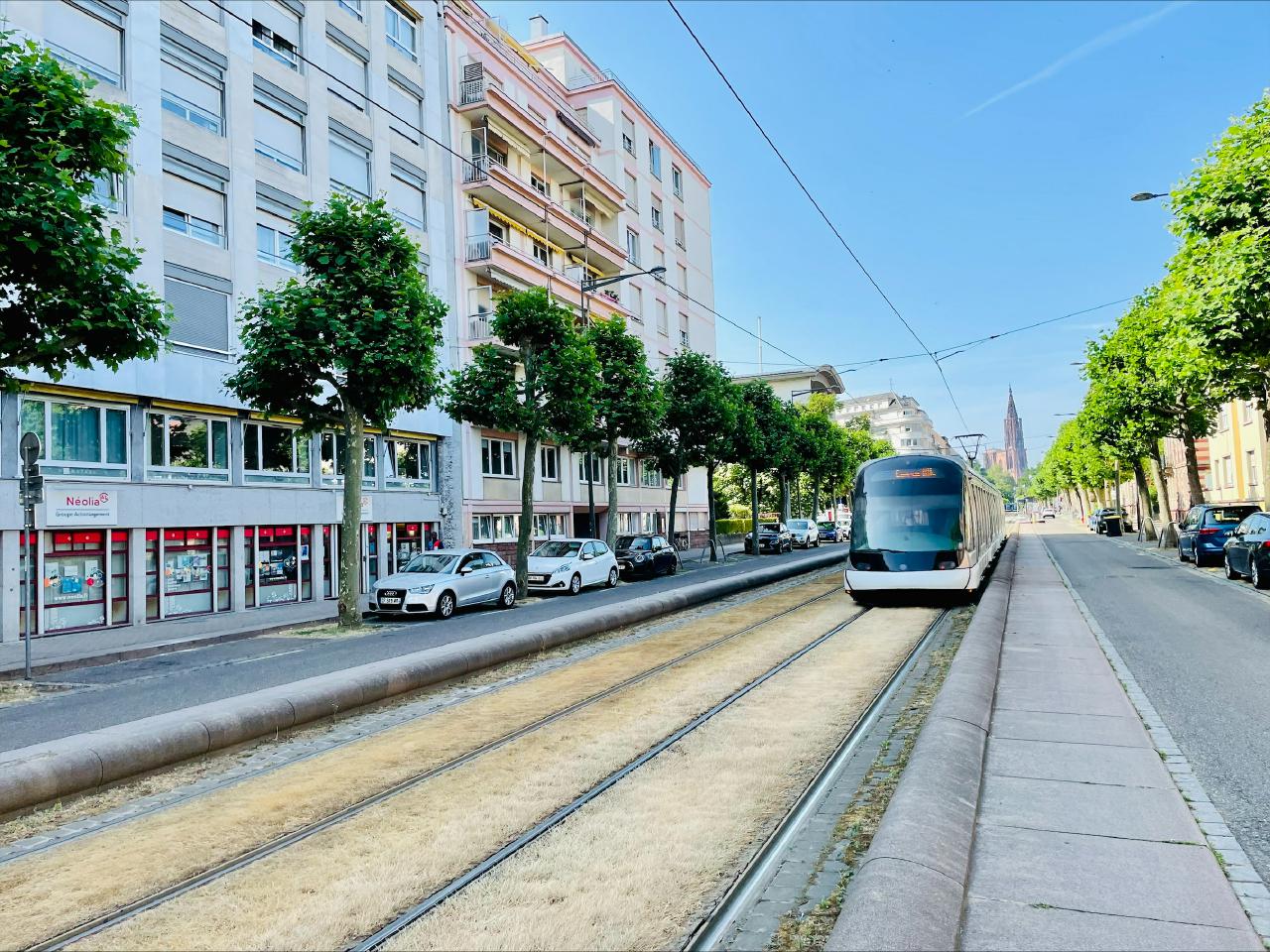 Bureau Strasbourg 193m² Location bureau Strasbourg Bas-Rhin OLBUR2313410 0